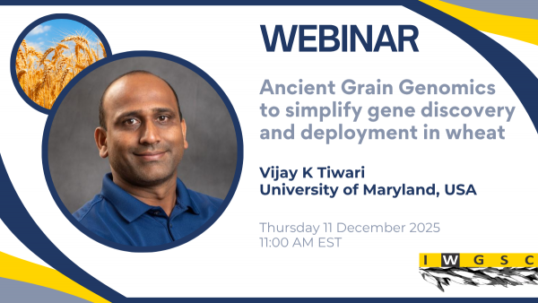 25-12-11_IWGSC_webinar_Tiwari_image